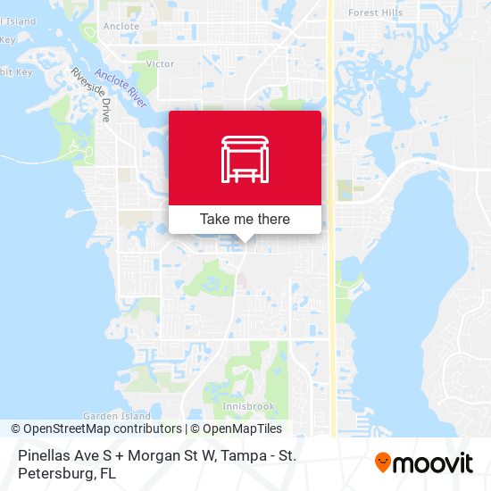 Pinellas Ave S + Morgan St W map