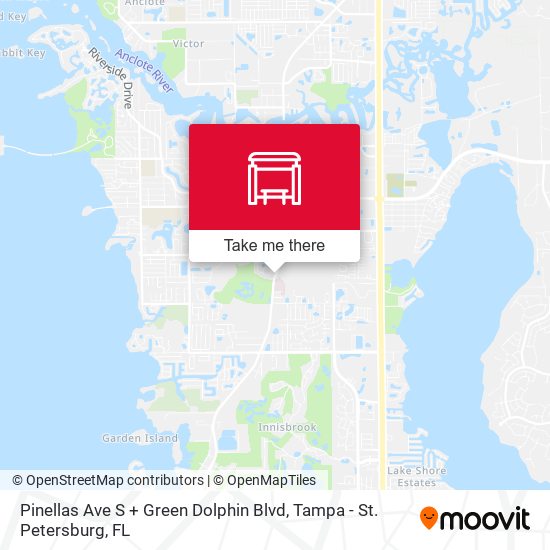 Pinellas Ave S + Green Dolphin Blvd map