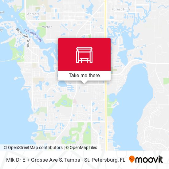 Mlk Dr E + Grosse Ave S map