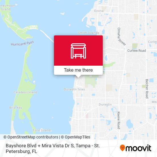 Bayshore Blvd + Mira Vista Dr S map