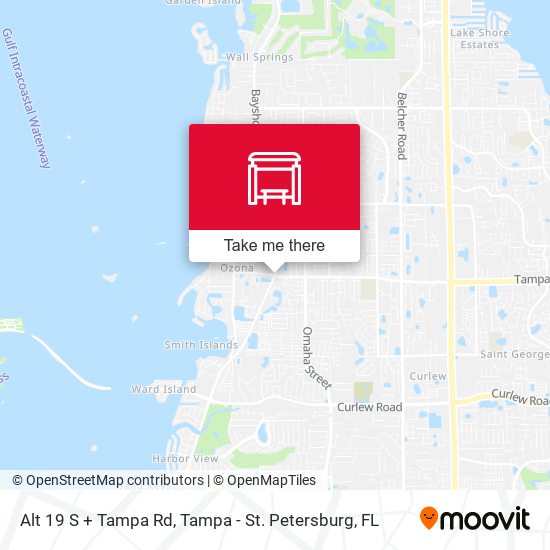 Mapa de Alt 19 S + Tampa Rd