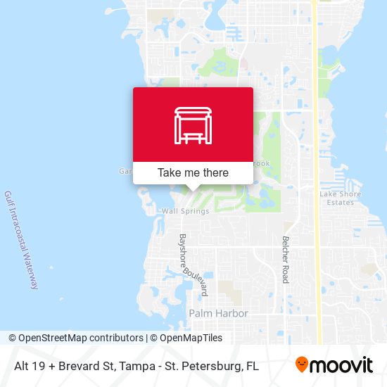 Mapa de Alt 19 + Brevard St