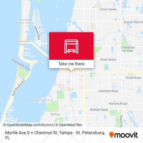 Myrtle Ave S + Chestnut St map