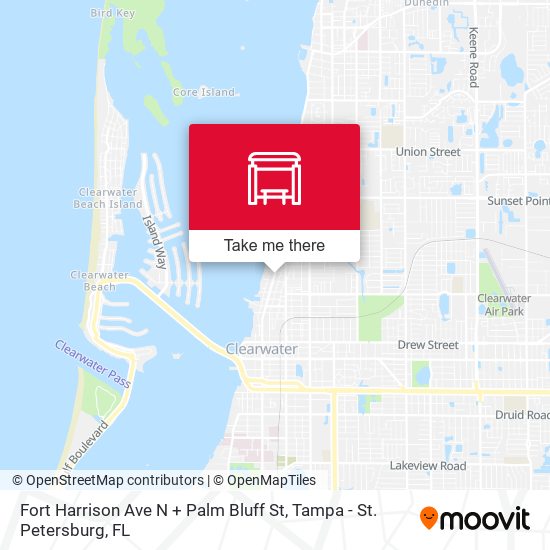 Fort Harrison Ave N + Palm Bluff St map