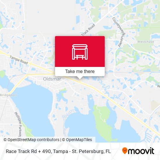 Race Track Rd + 490 map