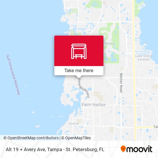 Alt 19 + Avery Ave map