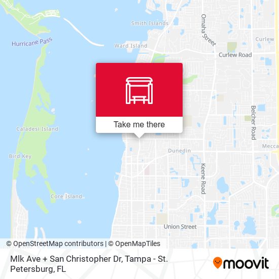 Mlk Ave + San Christopher Dr map