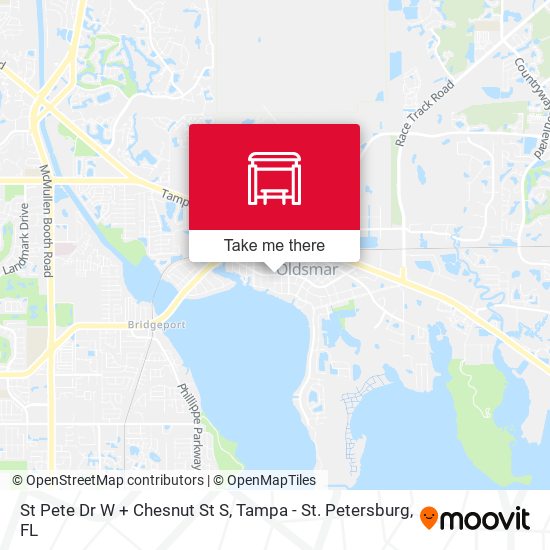 St Pete Dr W + Chesnut St S map