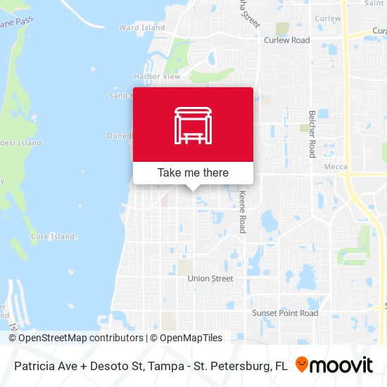 Patricia Ave + Desoto St map