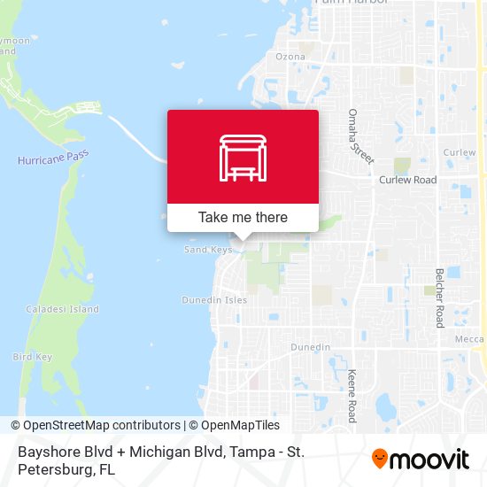 Mapa de Bayshore Blvd + Michigan Blvd