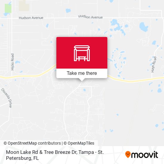 Moon Lake Rd & Tree Breeze Dr map