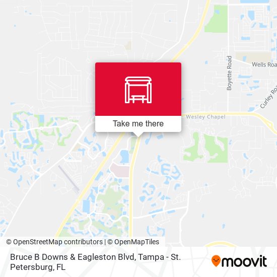 Mapa de Bruce B Downs & Eagleston Blvd