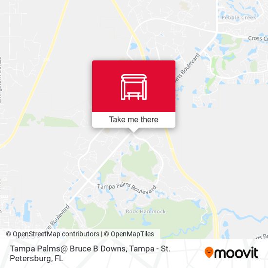 Tampa Palms@ Bruce B Downs map