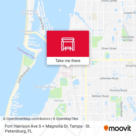 Fort Harrison Ave S + Magnolia Dr map