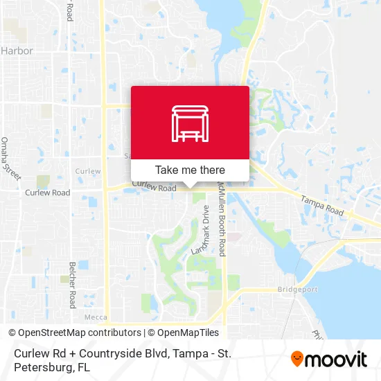 Curlew Rd + Countryside Blvd map