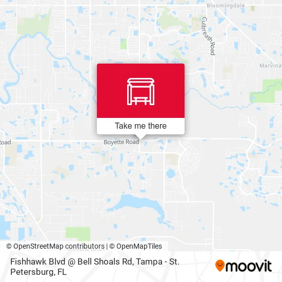 Fishhawk Blvd @ Bell Shoals Rd map