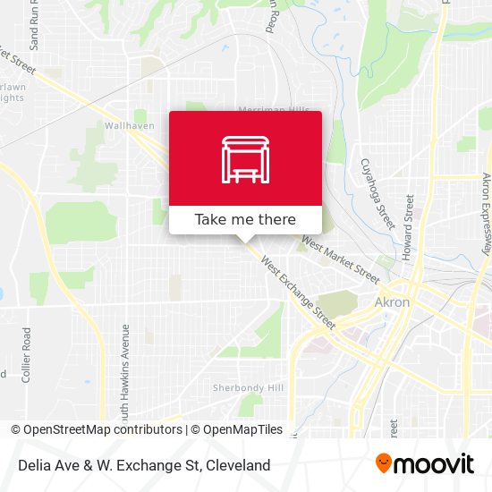 Delia Ave & W. Exchange St map