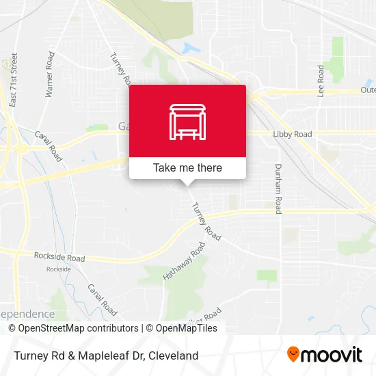Turney Rd & Mapleleaf Dr map
