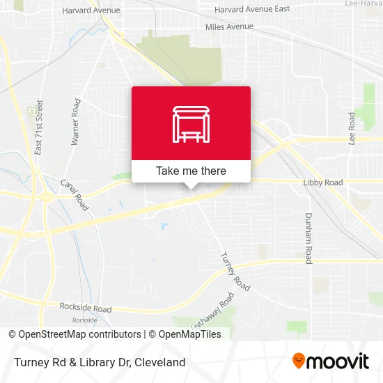 Turney Rd & Library Dr map