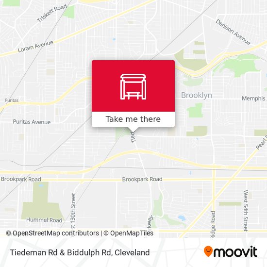 Tiedeman Rd & Biddulph Rd map