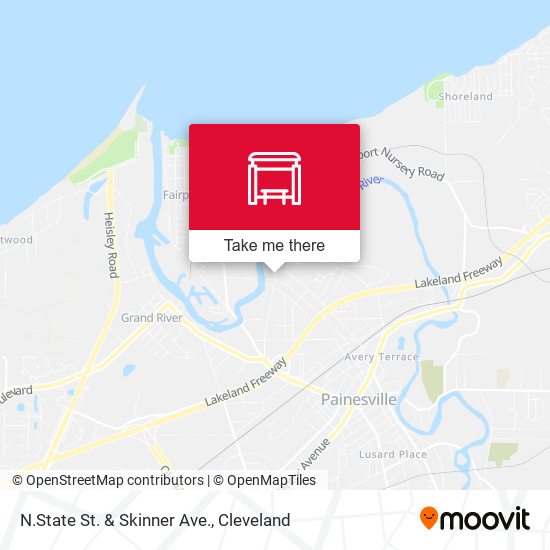 N.State St. & Skinner Ave. map