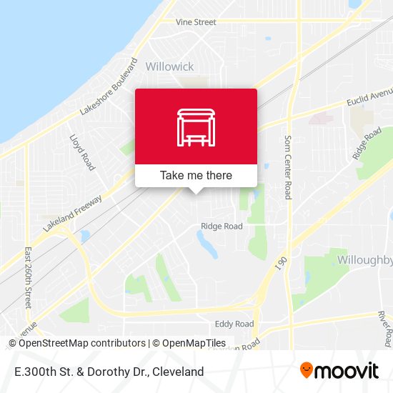E.300th St. & Dorothy Dr. map