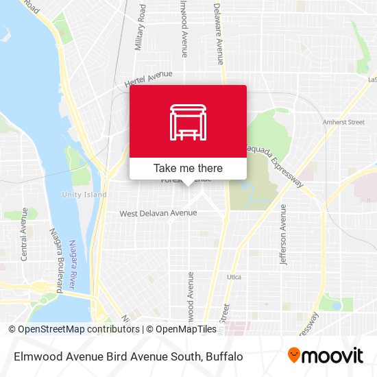Elmwood Avenue Bird Avenue South map