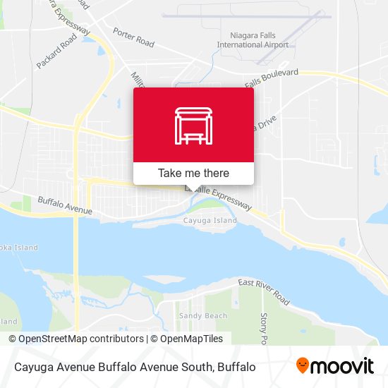 Cayuga Avenue Buffalo Avenue South map