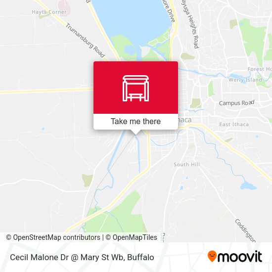 Cecil Malone Dr @ Mary St Wb map