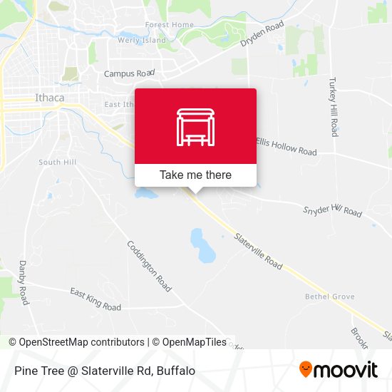 Pine Tree @ Slaterville Rd map