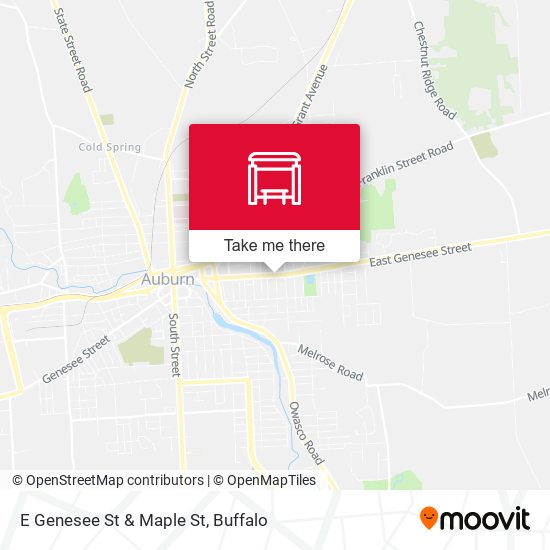 E Genesee St & Maple St map