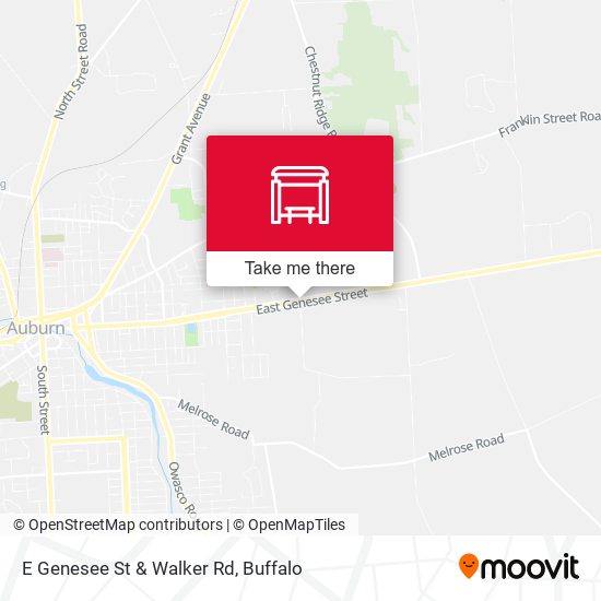 E Genesee St & Walker Rd map