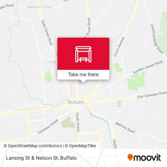 Mapa de Lansing St & Nelson St