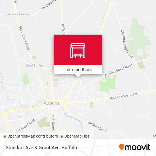Standart Ave & Grant Ave map