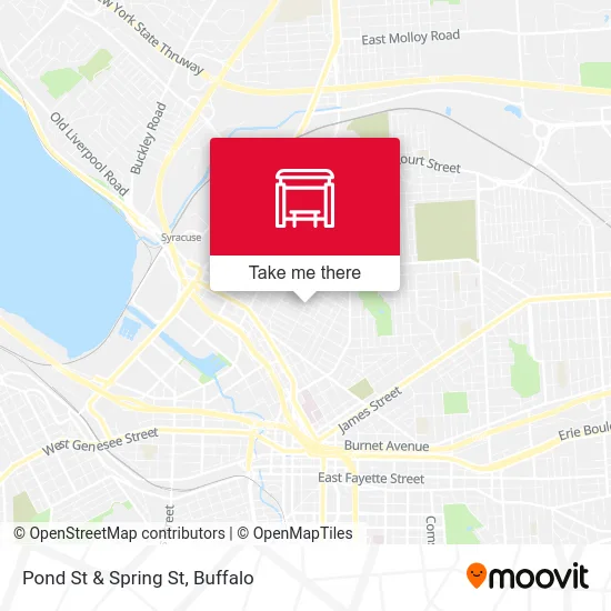 Pond St & Spring St map