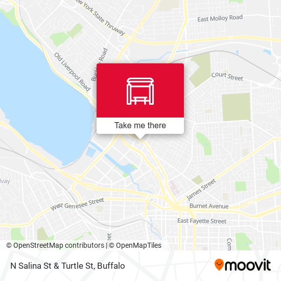 N Salina St & Turtle St map