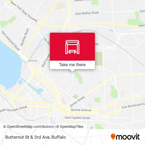 Butternut St & 3rd Ave map