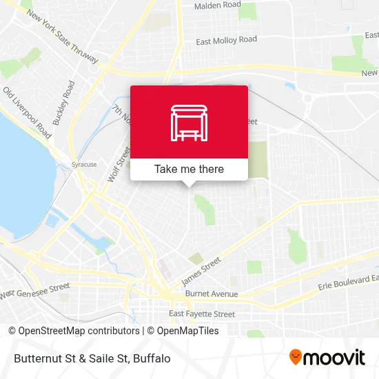 Butternut St & Saile St map