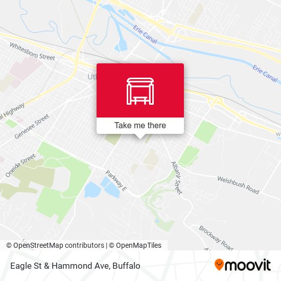 Eagle St & Hammond Ave map