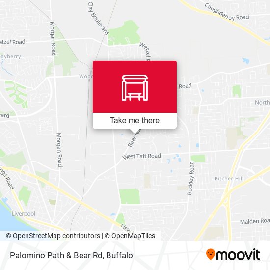 Mapa de Palomino Path & Bear Rd