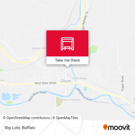 Big Lots map