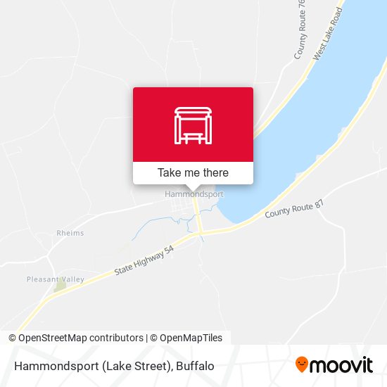 Hammondsport (Lake Street) map