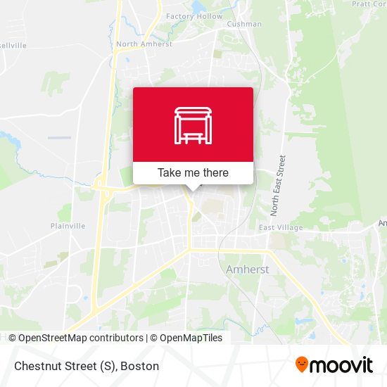 Chestnut Street map