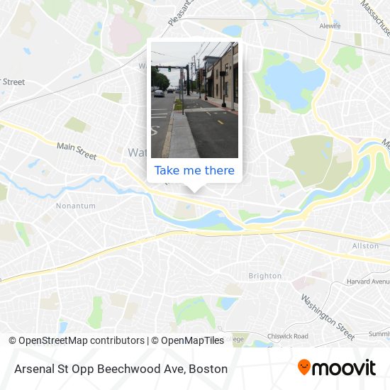 Arsenal St Opp Beechwood Ave map