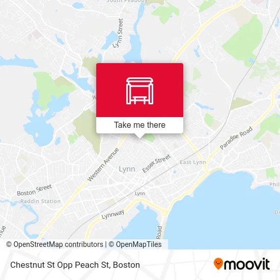 Chestnut St Opp Peach St map