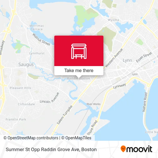 Summer St Opp Raddin Grove Ave map