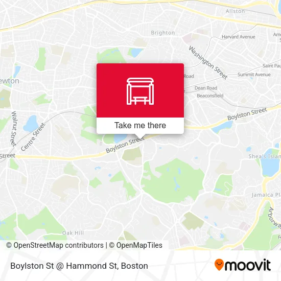 Mapa de Boylston St @ Hammond St