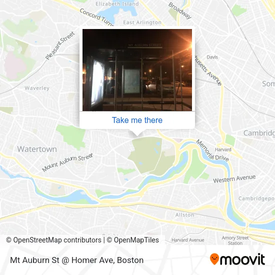 Mt Auburn St @ Homer Ave map