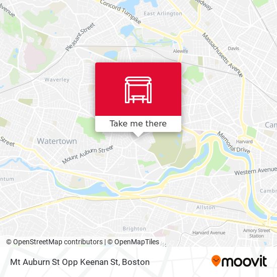 Mt Auburn St Opp Keenan St map