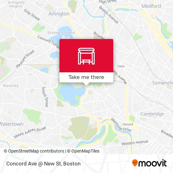 Concord Ave @ New St map